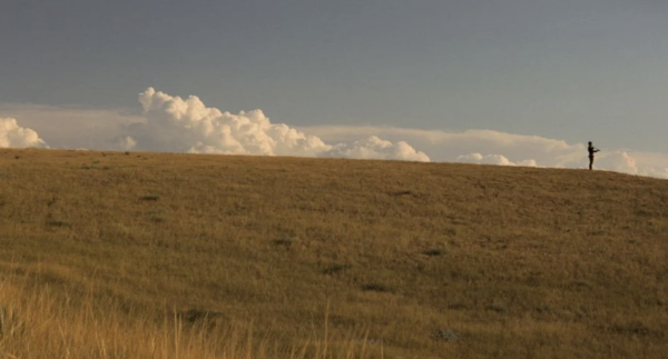 Dances with Wolves